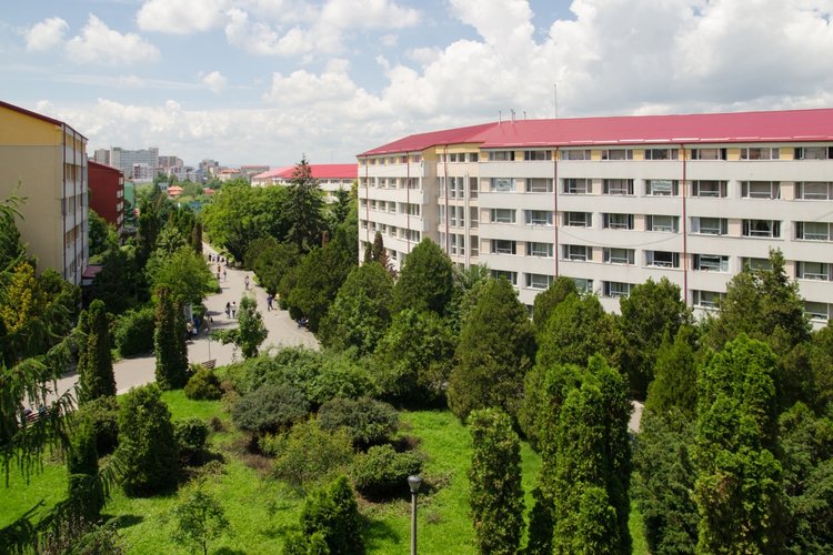 The University Campus